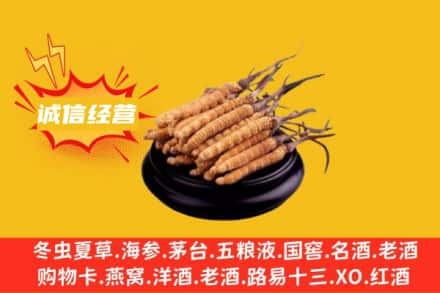 阿拉善盟额济纳回收冬虫夏草